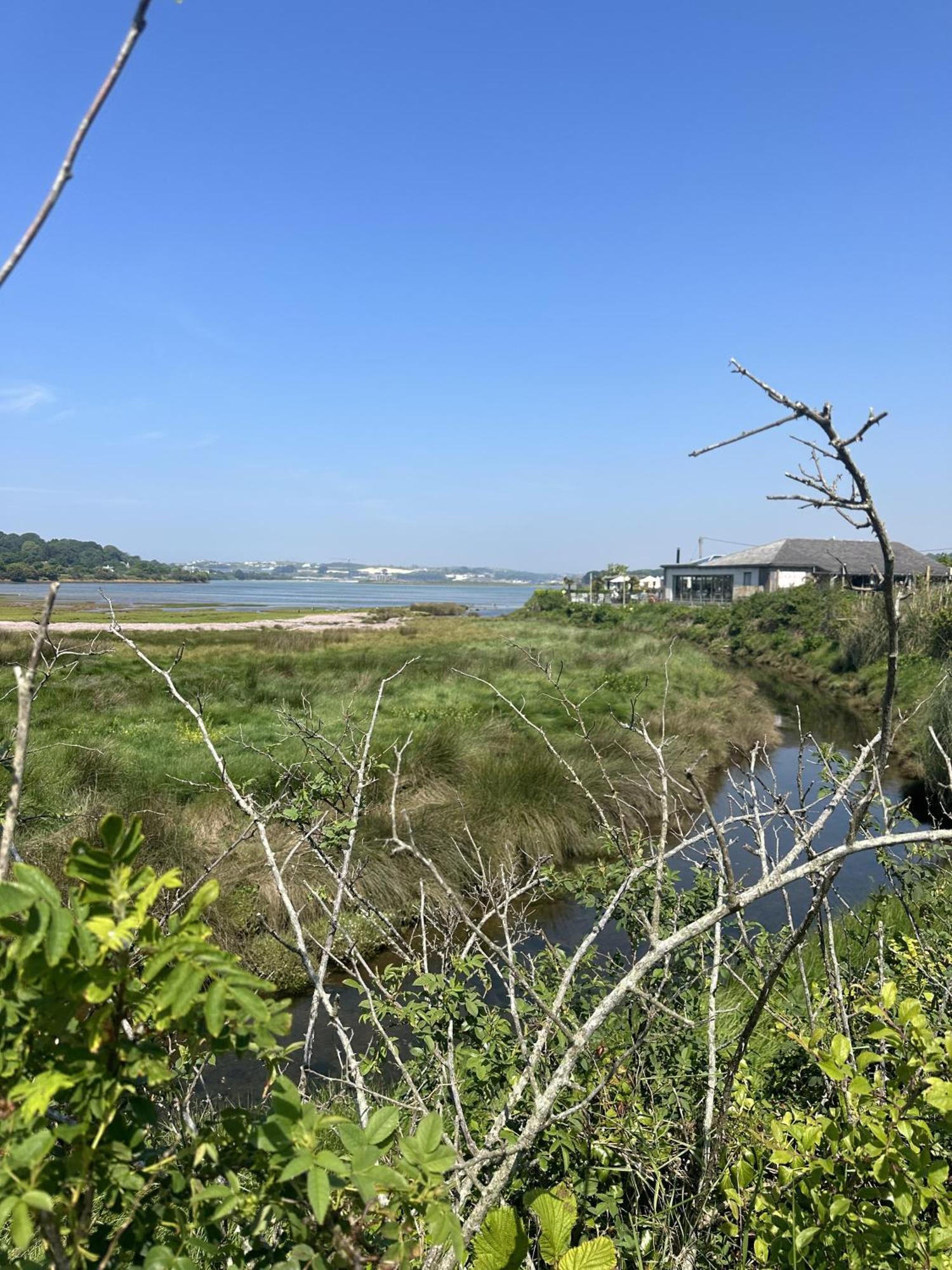 Cozy Coastal Lodge In Hayle Esterno foto